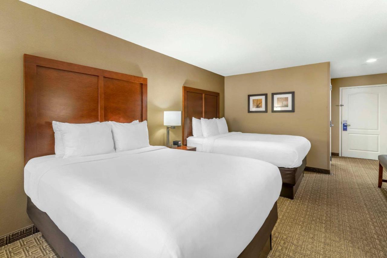 Comfort Inn & Suites Dover-Portsmouth Buitenkant foto