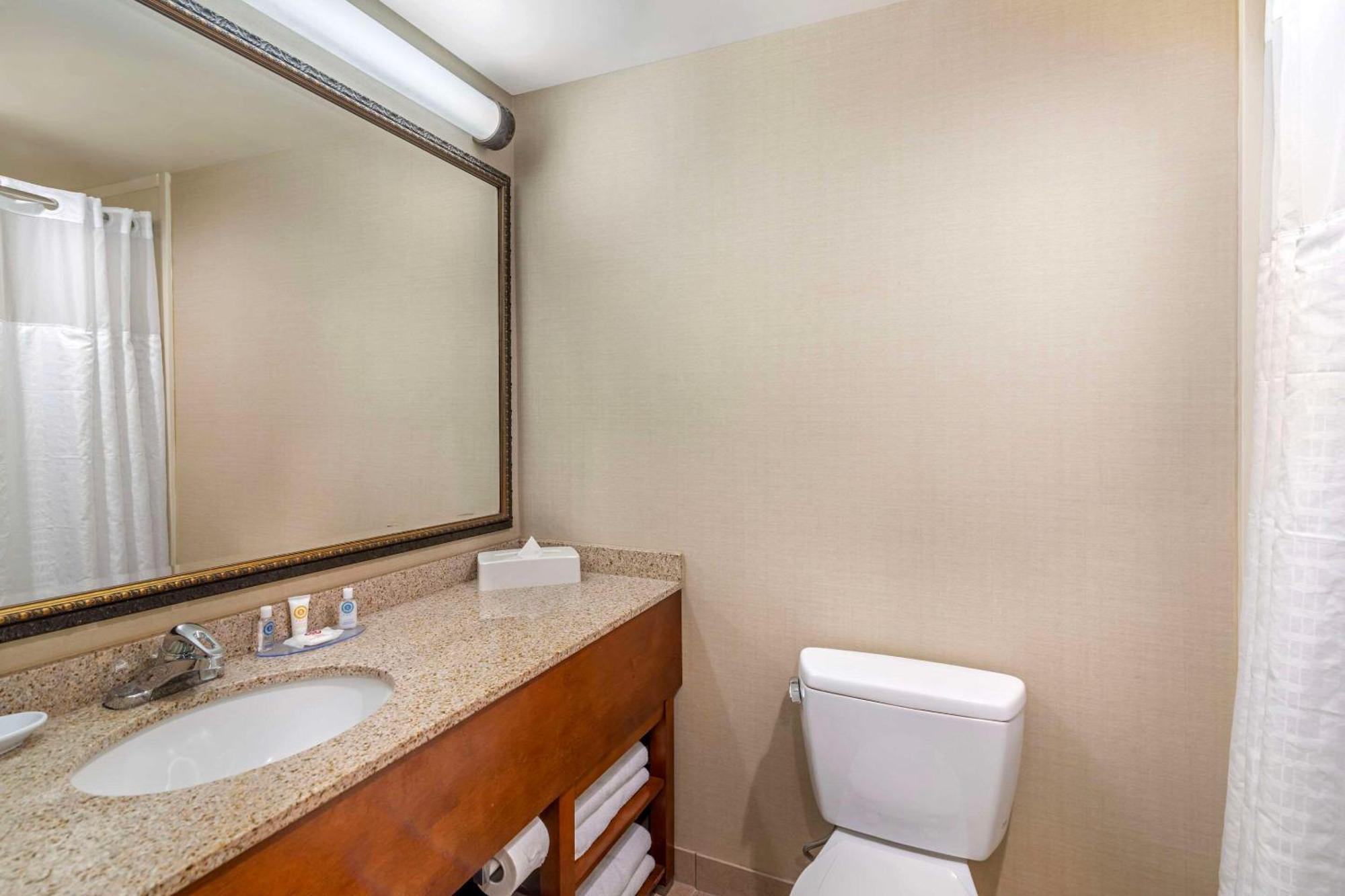 Comfort Inn & Suites Dover-Portsmouth Buitenkant foto